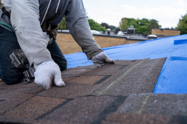 Best Roof Maintenance Services  in Weatherby Lake, MO